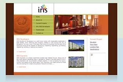 IRIS Developers